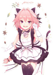 Rule 34 | 1boy, :3, :d, alternate costume, animal ears, apron, astolfo (fate), bell, black bow, black choker, black dress, black thighhighs, blush, bow, braid, cat boy, cat ears, cat tail, character name, choker, commentary, cowboy shot, dot nose, dress, dress bow, elbow gloves, enmaided, fang, fate/apocrypha, fate (series), flower, frilled dress, frills, garter straps, gloves, hair between eyes, hair bow, hair intakes, hand up, heihei, highres, jingle bell, kemonomimi mode, lace, lace-trimmed legwear, lace trim, large bow, leaf, long hair, looking at viewer, maid, maid apron, maid headdress, male focus, multicolored hair, neck bell, open mouth, paw pose, petals, pink hair, purple eyes, short dress, simple background, single braid, sleeveless, sleeveless dress, smile, solo, standing, streaked hair, striped, striped bow, tail, tail bow, tail ornament, thighhighs, trap, very long hair, white apron, white background, white bow, white gloves, white hair, zettai ryouiki