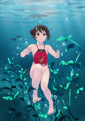 Rule 34 | 1girl, absurdres, air bubble, bad id, bad pixiv id, bare shoulders, barefoot, bottomless, brown eyes, brown hair, bubble, chinese clothes, double bun, dudou, feet, fish, freediving, highres, holding breath, legs, original, seaweed, solo, toes, underwater, water, yewang19