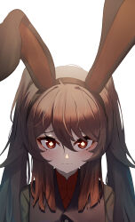Rule 34 | 1girl, absurdres, animal ears, blush, brown hair, brown hairband, brown vest, chinese commentary, closed mouth, commentary request, fake animal ears, flower, flower-shaped pupils, genshin impact, green jacket, hair between eyes, hairband, highres, hu tao (genshin impact), jacket, long hair, long sleeves, looking at viewer, mandarin collar, qixia, rabbit ears, red eyes, red shirt, shirt, sidelocks, simple background, solo, standing, sweat, sweatdrop, symbol-shaped pupils, twintails, upper body, vest, white background, white flower
