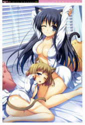 Rule 34 | 2girls, absurdres, animal ears, ass, barefoot, bed, bed sheet, blue eyes, blue hair, breasts, brown hair, cat ears, cat tail, censored, cleavage, convenient censoring, flat chest, girl&#039;s avenue, highres, lap pillow, large breasts, lens flare, long hair, megami magazine, multiple girls, no panties, official art, one eye closed, open clothes, open shirt, pillow, scan, shirt, short hair, small breasts, stretching, sunlight, tail, tomose shunsaku, very long hair, waking up, wink