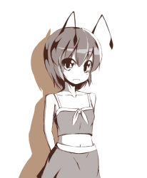 Rule 34 | 1girl, against wall, aikata, alternate costume, antennae, arms behind back, blush, brown theme, camisole, casual, drop shadow, female focus, frown, looking at viewer, midriff, monochrome, navel, shadow, short hair, simple background, solo, touhou, white background, wriggle nightbug