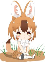 Rule 34 | 1girl, animal ear fluff, animal ears, bad id, bad pixiv id, bare shoulders, blush, boots, breasts, brown eyes, brown hair, brown skirt, brown thighhighs, chibi, closed mouth, commentary request, dhole (kemono friends), drooling, full body, gloves, hair between eyes, highres, kemono friends, multicolored hair, pleated skirt, saliva, shin01571, shirt, shoe soles, sitting, skirt, sleeveless, sleeveless shirt, small breasts, solo, tail, tail raised, thighhighs, two-tone hair, white background, white footwear, white gloves, white hair, white shirt