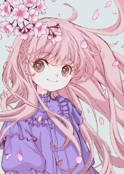 Rule 34 | 1girl, antenna hair, blue background, branch, brown eyes, cherry blossoms, dress, falling petals, floating hair, frilled dress, frills, highres, long hair, looking at viewer, original, petals, pink hair, puffy sleeves, purple dress, simple background, smile, solo, sora anko2, very long hair, wind
