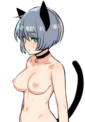 Rule 34 | 1girl, animal ears, bell, blue eyes, blush, breasts, cat ears, cat tail, choker, grey hair, highres, looking at viewer, medium breasts, navel, neck bell, nezuko, nipples, nude, original, parted lips, short hair, solo, tail