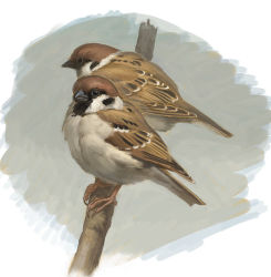 Rule 34 | animal, animal focus, bird, branch, eurasian tree sparrow, lowres, nablange, no humans, original, sparrow