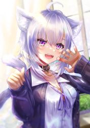 Rule 34 | 1girl, :d, ahoge, animal ear fluff, animal ears, blush, breasts, cardigan, cat ears, cat girl, cat tail, cleavage, collarbone, dress shirt, hair between eyes, highres, hololive, long sleeves, medium breasts, mikazuki cocolo, neck ribbon, nekomata okayu, nekomata okayu (oversized shirt), open cardigan, open clothes, open mouth, purple cardigan, purple eyes, purple ribbon, ribbon, shirt, short hair, silver hair, sleeves past wrists, smile, solo, tail, upper body, virtual youtuber, white shirt
