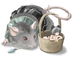 Rule 34 | 1girl, animal ears, ao usagi, basket, female focus, grey hair, jewelry, mini person, minigirl, mouse (animal), mouse ears, mouse tail, nazrin, nude, pendant, red eyes, role reversal, short hair, tail, touhou