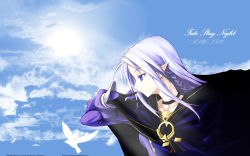Rule 34 | 00s, 1girl, bird, blue eyes, blue hair, braid, cape, medea (fate), choker, day, earrings, fate/stay night, fate (series), highres, jewelry, matching hair/eyes, pointy ears, profile, purple hair, ring, shingo (missing link), sky, solo, wallpaper
