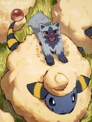 Rule 34 | animal focus, arc draws, black eyes, bright pupils, creatures (company), day, fangs, from above, game freak, gen 2 pokemon, gen 3 pokemon, grass, highres, looking at viewer, mareep, nintendo, no humans, outdoors, pokemon, pokemon (creature), poochyena, tongue, twitter username, white pupils