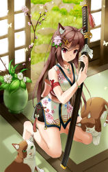 Rule 34 | 1girl, :&lt;, animal ears, bare shoulders, barefoot, breasts, brown hair, cat, cat ears, cleavage, flower, freckles, full body, garden, grass, hair flower, hair ornament, hairband, highres, indoors, japanese clothes, jewelry, kimono, kneeling, leaf, long hair, looking at viewer, necklace, original, petals, plant, purple eyes, rock, s-goon, serious, sheath, sheathed, short kimono, shorts, sitting, sleeveless, sleeveless kimono, solo, sword, toes, vase, weapon, whiskers, wind