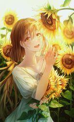 Rule 34 | 1girl, bad id, bad pixiv id, brown hair, collarbone, dress, flower, hair ribbon, head tilt, highres, holding, holding flower, leaf, lium, long hair, looking at viewer, low ponytail, open mouth, original, ponytail, ribbon, sidelocks, smile, solo, standing, sundress, sunflower, very long hair, white dress, yellow eyes