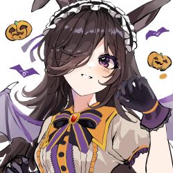 Rule 34 | 1girl, animal ears, bat wings, black bow, black bowtie, bow, bowtie, brown hair, dasha, gloves, hair ornament, halloween costume, hand up, headdress, highres, horse ears, jack-o&#039;-lantern, long hair, looking at viewer, official alternate costume, parted lips, portrait, pumpkin, purple bow, purple bowtie, purple eyes, purple gloves, rice shower (make up vampire!) (umamusume), rice shower (umamusume), shirt, simple background, solo, striped, striped bow, umamusume, white background, white shirt, wings