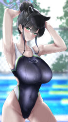 Rule 34 | 1girl, animal ears, ass, black hair, black one-piece swimsuit, blue archive, blurry, blurry background, breasts, competition swimsuit, covered navel, cowboy shot, curvy, green eyes, hair bun, hair flaps, halo, highleg, highleg swimsuit, highres, large breasts, one-piece swimsuit, pool, ruko (user zdfp4487), shiny skin, shun (blue archive), sidelocks, smile, solo, swimsuit, tiger ears, tiger girl, wet, wet clothes, wet swimsuit, wide hips
