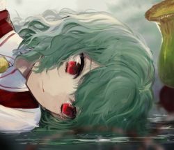 Rule 34 | 1girl, ascot, bad id, bad twitter id, commentary request, daimaou ruaeru, green hair, kazami yuuka, looking to the side, lying, on side, plaid, plaid vest, plant, portrait, red eyes, red vest, reflection, shirt, short hair, solo, touhou, upper body, vest, water, white shirt, wing collar, yellow ascot