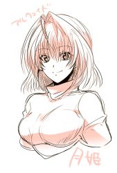 Rule 34 | 00s, 1girl, ahoge, arcueid brunestud, bad id, bad pixiv id, breasts, large breasts, monochrome, short hair, smile, solo, sweater, tsukihime, turtleneck, uka (color noise), upper body