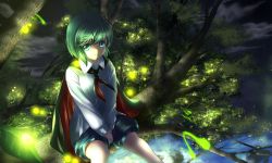Rule 34 | 1girl, antennae, aqua eyes, baggy shorts, cape, cloud, cloudy sky, fireflies, glowing, green hair, in tree, long sleeves, looking at viewer, night, pengin (takeoff425), puffy shorts, shirt, shorts, sitting, sitting in tree, sky, smile, solo, touhou, tree, v arms, wriggle nightbug