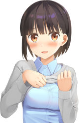 Rule 34 | 1girl, :d, apollo (hu maple), blue shirt, blunt bangs, breasts, brown eyes, brown hair, cardigan, cardigan lift, collared shirt, commentary request, dress shirt, grey cardigan, highres, looking at viewer, medium breasts, open mouth, original, school uniform, shirt, short hair, simple background, smile, solo, undressing, white background