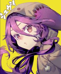 Rule 34 | 1girl, animal hood, hair between eyes, hare (yamihuji), hood, hoodie, looking at viewer, no game no life, open mouth, pom pom (clothes), portrait, purple eyes, purple hair, ringed eyes, shuvi (no game no life), simple background, solo, tagme, text background, yellow background