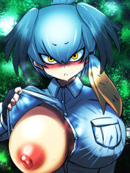 Rule 34 | 1girl, :c, alternate breast size, asymmetrical hair, black hair, blush, breast pocket, breasts, buttons, closed mouth, collared shirt, commentary request, dripping, ekakiuo, flashing, grey hair, grey shirt, hair between eyes, head tilt, highres, huge breasts, impossible clothes, impossible shirt, kemono friends, long hair, long sleeves, looking at viewer, multicolored hair, nipples, no bra, nose blush, one breast out, open clothes, open shirt, orange eyes, orange hair, partially unbuttoned, pocket, shirt, shoebill (kemono friends), sidelocks, solo, sweat, upper body, wing collar