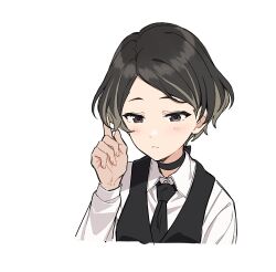 Rule 34 | 1girl, black choker, black hair, black necktie, black vest, blush, brown eyes, choker, closed mouth, collared shirt, highres, long sleeves, multicolored hair, necktie, project:anemone, shirt, short hair, simple background, solo, teshima nari, two-tone hair, upper body, vest, white background