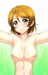 Rule 34 | 10s, 1girl, blush, breasts, brown hair, completely nude, hair ornament, hairclip, highres, inverted nipples, kenken, koizumi hanayo, looking at viewer, love live!, love live! school idol project, medium breasts, nipples, nude, out-of-frame censoring, purple eyes, short hair, solo