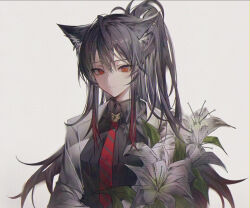 0_(znanimo) 1girl animal_ear_fluff animal_ears arknights black_hair black_shirt breasts closed_mouth collared_shirt commentary diagonal-striped_clothes diagonal-striped_necktie flower grey_background grey_jacket hair_between_eyes jacket long_hair medium_breasts necktie open_clothes open_jacket orange_eyes ponytail red_necktie shirt simple_background solo striped_clothes symbol-only_commentary texas_(arknights) upper_body very_long_hair white_flower