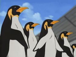 Rule 34 | animated, animated gif, bird, penguin, precure