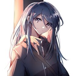 1girl blue_hair closed_mouth grey_eyes grey_jacket hibioes highres hoshino_ichika_(project_sekai) jacket long_hair looking_at_viewer project_sekai sidelocks solo upper_body zipper_pull_tab