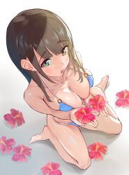 Rule 34 | 1girl, 2t (tanakatakuto), bare legs, barefoot, bikini, blue bikini, breasts, brown hair, cleavage, cupping hands, flower, from above, full body, gradient background, green eyes, hibiscus, highres, large breasts, long hair, o-ring, o-ring bikini, o-ring top, open mouth, original, own hands together, sidelocks, simple background, sitting, solo, string bikini, swimsuit, wariza