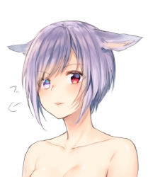 Rule 34 | 1girl, animal ears, blush, breasts, collarbone, commentary request, final fantasy, final fantasy xiv, heterochromia, midorikawa you, miqo&#039;te, nude, out-of-frame censoring, parted lips, purple eyes, purple hair, red eyes, short hair, simple background, small breasts, solo, upper body, white background