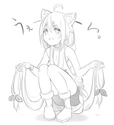 Rule 34 | 1girl, :d, animal ear fluff, animal ears, bad id, bad twitter id, bare shoulders, bike shorts, boots, cat ears, choker, commentary request, full body, greyscale, hair between eyes, highres, hinata channel, koyoi mitsuki, long hair, looking at viewer, monochrome, nekomiya hinata, open mouth, pigeon-toed, shirt, simple background, sleeveless, sleeveless shirt, smile, solo, very long hair, virtual youtuber, white background