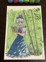 Rule 34 | 1girl, art tools in frame, bamboo, bamboo forest, blue dress, blue hair, blue hat, blush, book, border, collared dress, dappled sunlight, dress, fading border, feet out of frame, forest, hands up, hat, highres, holding, holding book, kamishirasawa keine, light blue hair, long hair, looking at viewer, marker, marker (medium), nature, neckerchief, open book, open mouth, outside border, photo (medium), puffy short sleeves, puffy sleeves, raised eyebrows, red eyes, red neckerchief, rock, shiratama (hockey), short sleeves, sidelocks, signature, solo, sunlight, touhou, traditional media, white border