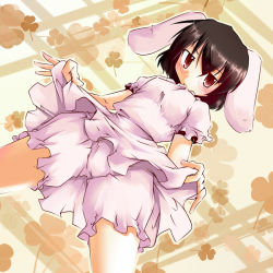 Rule 34 | 1girl, animal ears, bloomers, blush, brown eyes, clothes lift, dress, dress lift, dutch angle, female focus, from below, inaba tewi, rabbit ears, sesield, short hair, solo, touhou, underwear, upskirt