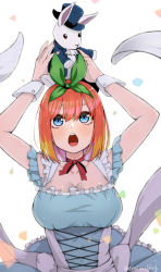 Rule 34 | 1girl, :o, alice (alice in wonderland), alice (alice in wonderland) (cosplay), alice in wonderland, arms up, blue dress, blue eyes, breasts, cleavage, colored tips, cosplay, dress, frilled dress, frills, go-toubun no hanayome, green ribbon, hair ribbon, hands up, highres, holding, holding toy, irarei (araisanblog), large breasts, multicolored hair, nakano yotsuba, neck ribbon, open mouth, orange hair, red ribbon, ribbon, short hair, short sleeves, solo, stuffed animal, stuffed rabbit, stuffed toy, toy, twitter username, white wrist cuffs, wrist cuffs