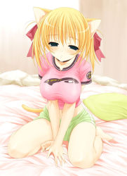 Rule 34 | 1girl, animal ears, aojiru, bed, blonde hair, blue eyes, breasts, cat ears, cat tail, impossible clothes, impossible shirt, large breasts, looking at viewer, navel, pillow, shirt, sleepy, solo, tail, tight shirt