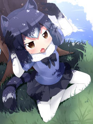 Rule 34 | 10s, 1girl, :o, animal ears, arms up, black bow, black bowtie, black hair, black skirt, blue sky, bow, bowtie, brown eyes, cloud, commentary request, common raccoon (kemono friends), day, fang, fur collar, gloves, grass, highres, indian style, kemono friends, makuran, multicolored clothes, multicolored gloves, multicolored hair, outdoors, pantyhose, raccoon ears, raccoon tail, short hair, sitting, skirt, sky, solo, striped tail, tail, tree, under tree, white hair, white pantyhose