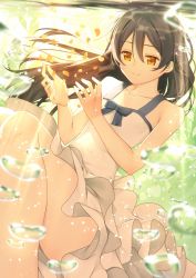 Rule 34 | 10s, 1girl, air bubble, black hair, brown eyes, bubble, closed mouth, collarbone, dress, flat chest, hair between eyes, hands up, light smile, long hair, love live!, love live! school idol project, nagareboshi, petals, smile, solo, sonoda umi, thighs, underwater, white dress, yellow eyes