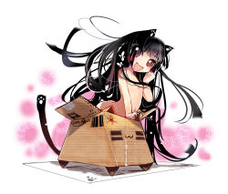 Rule 34 | 1girl, :3, animal ears, ass, bad id, bad pixiv id, black eyes, black hair, box, cardboard box, cat ears, cat tail, censored, convenient censoring, flat chest, hair censor, hair over breasts, in box, in container, long hair, navel, nude, original, solo, tail, usoneko, very long hair