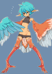 Rule 34 | 1girl, blue hair, feathered wings, feathers, female focus, groin, highres, midriff, monster girl, navel, original, solo, tomatojam, wings