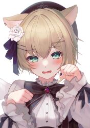 Rule 34 | 1girl, absurdres, black bow, black bowtie, black nails, blonde hair, blush, bow, bowtie, brooch, buket pudding i, closed eyes, embarrassed, fangs, flower, frilled shirt, frilled shirt collar, frills, green eyes, hair flower, hair ornament, hairclip, highres, iris black games, jewelry, kurumi noah, long sleeves, looking at viewer, official alternate costume, paw pose, rose, shirt, solo, upper body, virtual youtuber, vspo!, white flower, white rose, white shirt, x hair ornament