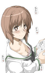 Rule 34 | 1girl, blush, book, breasts, brown eyes, brown hair, cleavage, closed mouth, collarbone, elf (stroll in the woods), girls und panzer, highres, long sleeves, looking at viewer, medium breasts, nishizumi miho, ooarai school uniform, school uniform, shirt, short hair, simple background, smile, solo, white background, white shirt
