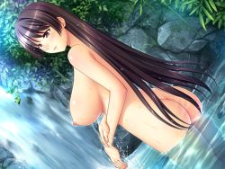 Rule 34 | 1girl, ass, blue gale, breasts, brown hair, character request, dutch angle, large breasts, long hair, nature, nipples, nude, smile, solo, source request, water, waterfall, wet