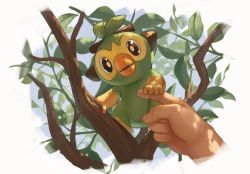 Rule 34 | 1other, branch, brown eyes, commentary request, creatures (company), disembodied hand, fangs, fingernails, game freak, gen 8 pokemon, grookey, holding, leaf, looking at viewer, nintendo, open mouth, pokemon, pokemon (creature), pov, spareribs