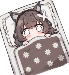 Rule 34 | 1girl, animal ears, black hairband, blanket, blush, brown hair, cat ears, cat girl, chibi, floral print, frilled pillow, frills, from above, futon, hairband, kurioshi fio, original, pillow, satou (3366 s), short hair, sidelocks, simple background, solo, tearing up, under covers, white background