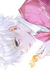 Rule 34 | 1boy, blue eyes, candy, casual, closed mouth, collared shirt, food, food art, hand up, holding, holding candy, holding food, holding lollipop, hunter x hunter, killua zoldyck, light smile, lollipop, looking away, male focus, portrait, rabbit, shirt, short hair, sideways, signature, simple background, solo, white background, white hair, wz (woyzeck)
