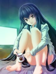 Rule 34 | 1girl, bare legs, barefoot, black hair, bottomless, brown eyes, censored, convenient censoring, cup, female focus, fujino (yoshi9798174), houraisan kaguya, hugging own legs, long hair, looking at viewer, mug, naked shirt, on bed, open mouth, paw print, shirt, sitting, smile, solo, television, touhou