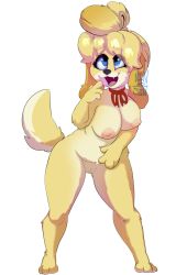 Rule 34 | 1girl, :3, animal crossing, animal ears, animal hands, artist name, barefoot, blonde hair, blue eyes, breasts, dog ears, dog girl, dog tail, fang, female focus, full body, furry, furry female, hand up, highres, isabelle (animal crossing), jpeg artifacts, large breasts, legs apart, looking up, navel, neck ribbon, nintendo, nipples, nude, open mouth, pussy, red ribbon, ribbon, scribbled death, short hair, signature, simple background, smile, solo, standing, tail, topknot, uncensored, white background