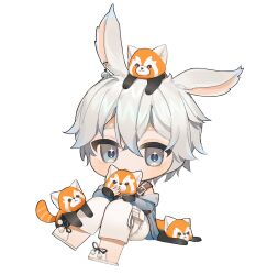 Rule 34 | 1boy, animal, animal ears, animal on head, animal on lap, animal on leg, bishounen, black bow, borrowed character, bow, chibi, commission, covered mouth, crossed bangs, double-parted bangs, earrings, foot dangle, footwear bow, full body, grey eyes, grey hair, grey hoodie, hair between eyes, highres, hood, hood down, hoodie, invisible chair, jewelry, knees up, looking at viewer, male focus, no nose, off shoulder, on head, on lap, original, pants, pom pom footwear, rabbit boy, rabbit ears, red panda, shiba (iaps 1004), short hair, simple background, single earring, single floppy ear, sitting, slippers, solo, transparent background, white footwear, white pants