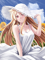 Rule 34 | 1girl, blonde hair, breasts, closed mouth, cloud, collarbone, commentary, day, dress, fate testarossa, flower, hat, long hair, looking at viewer, lyrical nanoha, mahou shoujo lyrical nanoha strikers, medium breasts, red eyes, sky, smile, solo, sougetsu izuki, sun hat, sundress, sunflower, very long hair, white dress, white hat