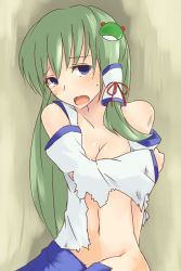 Rule 34 | 1girl, blue eyes, blush, breasts, covering privates, covering breasts, detached sleeves, face, female focus, frog, green hair, hair ornament, hair tubes, kochiya sanae, long hair, miyo (ranthath), navel, open mouth, solo, torn clothes, touhou